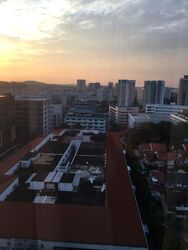 Rafflesia Condominium (D20), Condominium #609545131